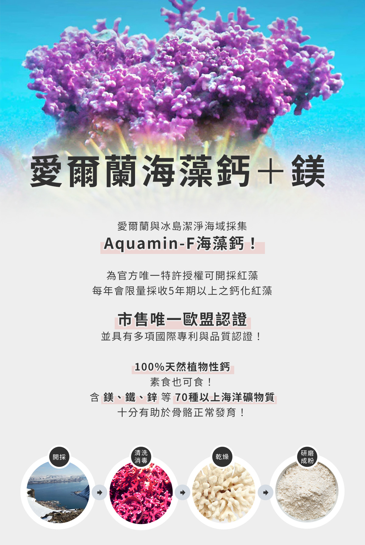 STEP1-愛爾蘭海藻鈣＋鎂：Aquamin-F海藻鈣！市售唯一歐盟認證，100%天然植物性鈣，素食也可食！含 鎂、鐵、鋅 等 70種以上海洋礦物質