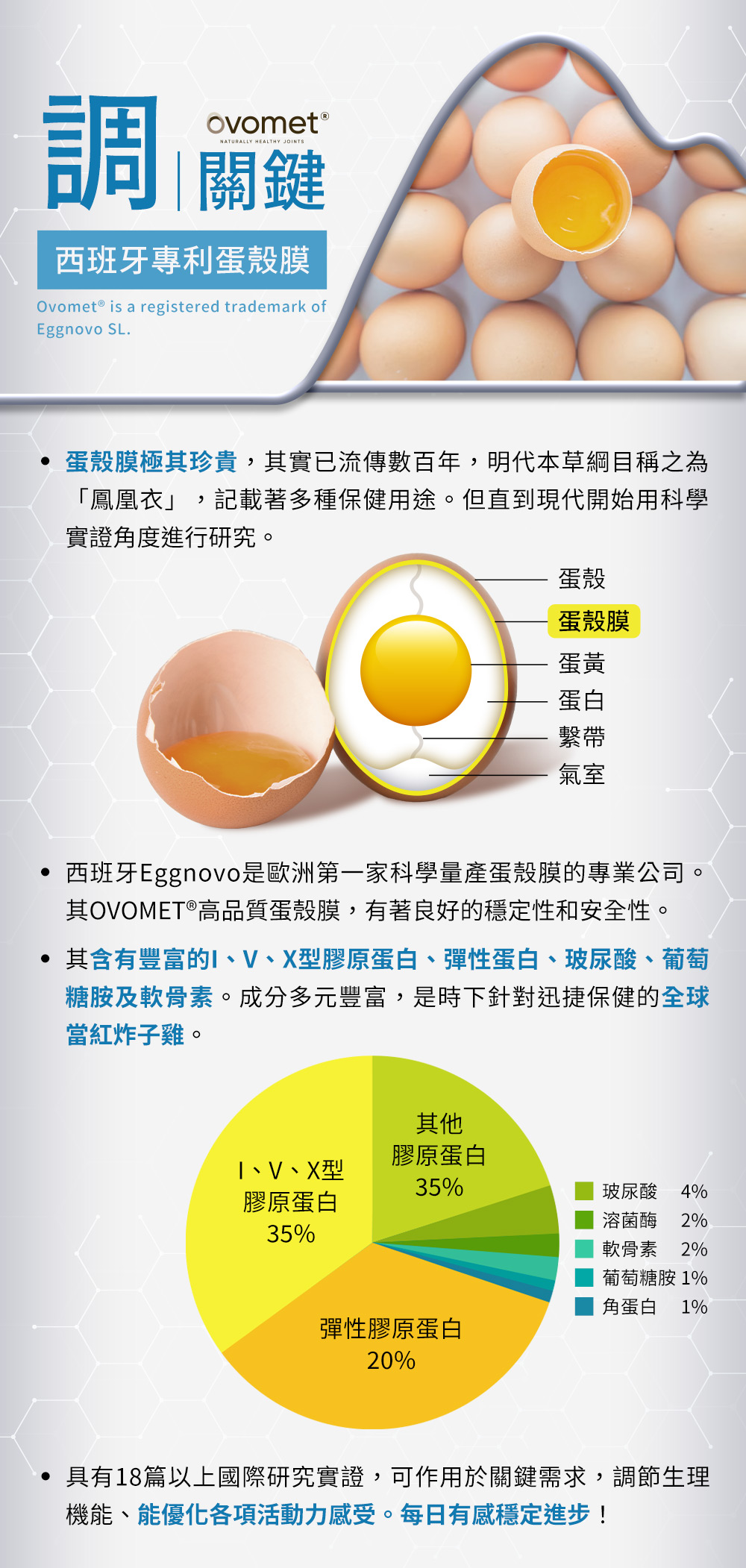 調關鍵，西班牙專利蛋殼膜：蛋殼膜含有豐富的I、V、X型膠原蛋白、彈性蛋白、玻尿酸、葡萄糖胺及軟骨素，是時下針對行動力保健的全球當紅炸子雞。