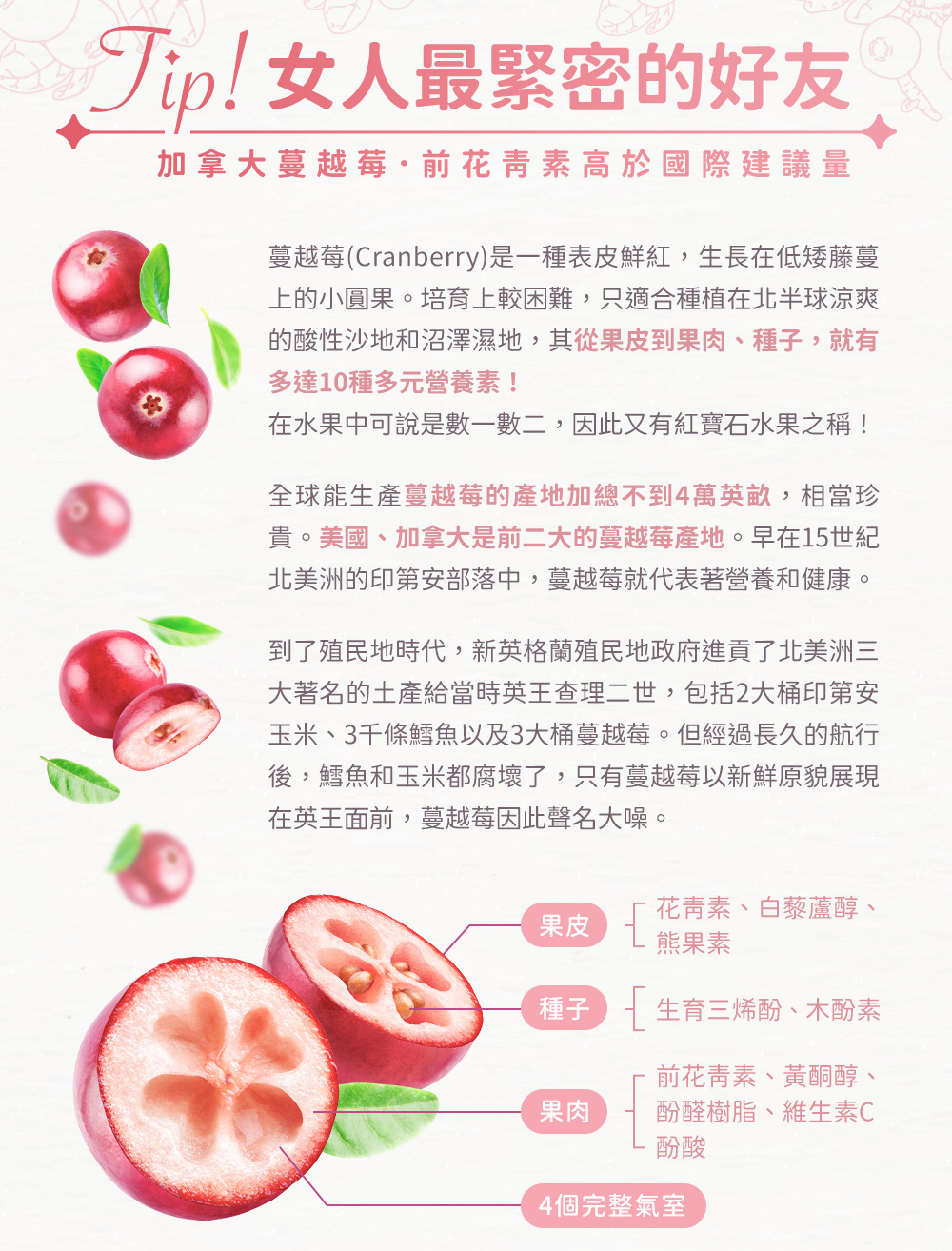 Tip!女人最緊密的好友,加拿大蔓越莓・前花青素高於國際建議量。其從果皮到果肉、種子,就有多達10種多元營養素