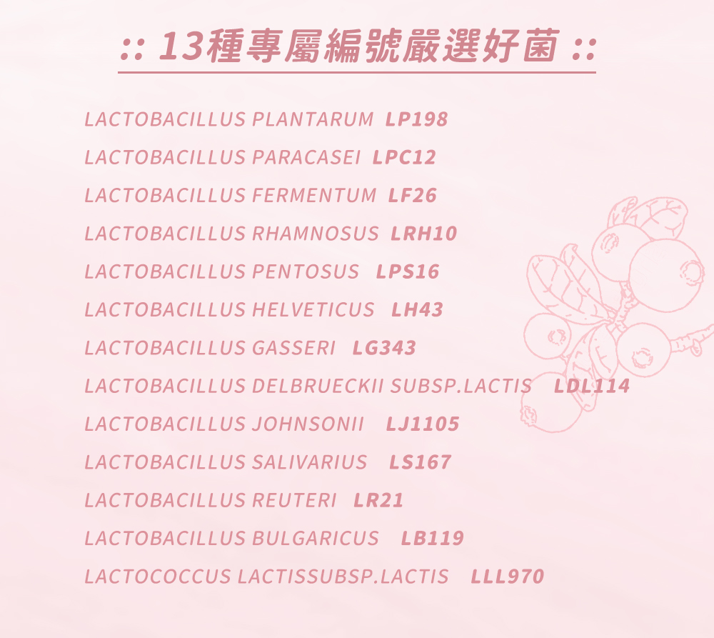 人可和蔓越莓益生菌含有13種專屬編號嚴選好菌