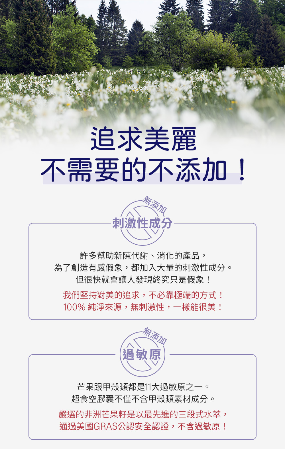 永豐人可和|超食空白腎豆:追求美麗不需要的不添加!無添加刺激性成分、無添加過敏原