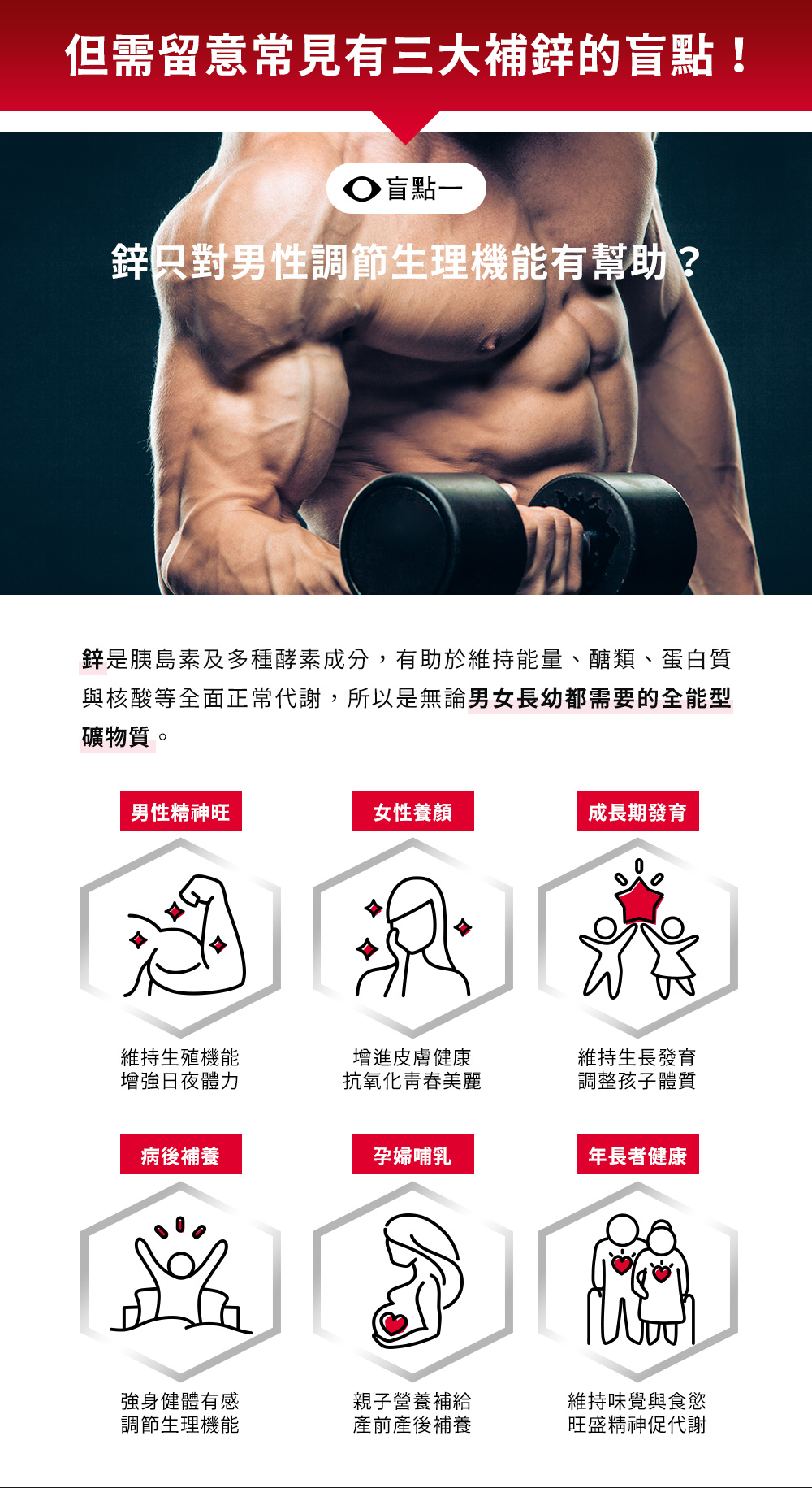 補鋅盲點一：鋅不只對男性調節生理機能有幫助，男女長幼皆需要的全能型礦物質
