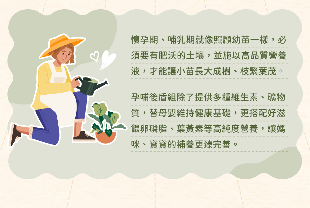 懷孕期、哺乳期就像照顧幼苗一樣，必須要有肥沃的土壤，並施以高品質營養液，才能讓小苗長大成樹。孕哺後盾組除了提供多種維生素、礦物質，替母應維持健康基礎，更搭配卵磷脂初乳蛋白、葉黃素等高純度營養，讓媽咪、寶寶的營養更完善