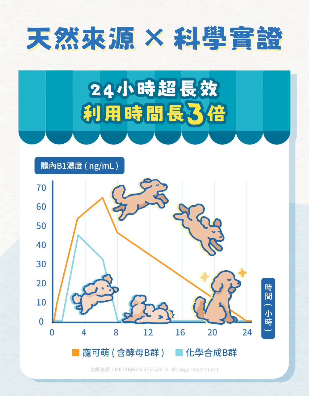 天然來源，科學實證：24小時超長效，利用時間長3倍