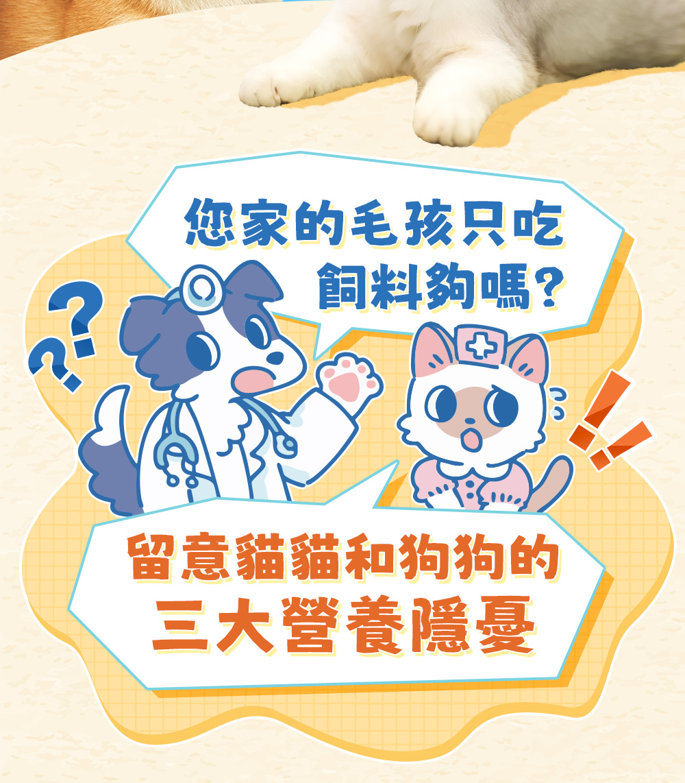您家的毛孩吃飼料夠嗎？留意貓貓和狗狗的三大營養隱憂