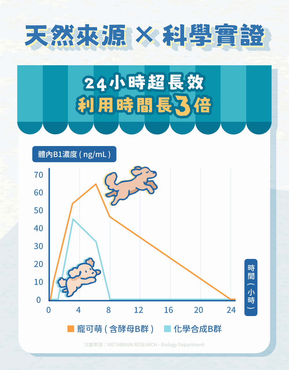 天然來源，科學實證：24小時超長效，利用時間長3倍