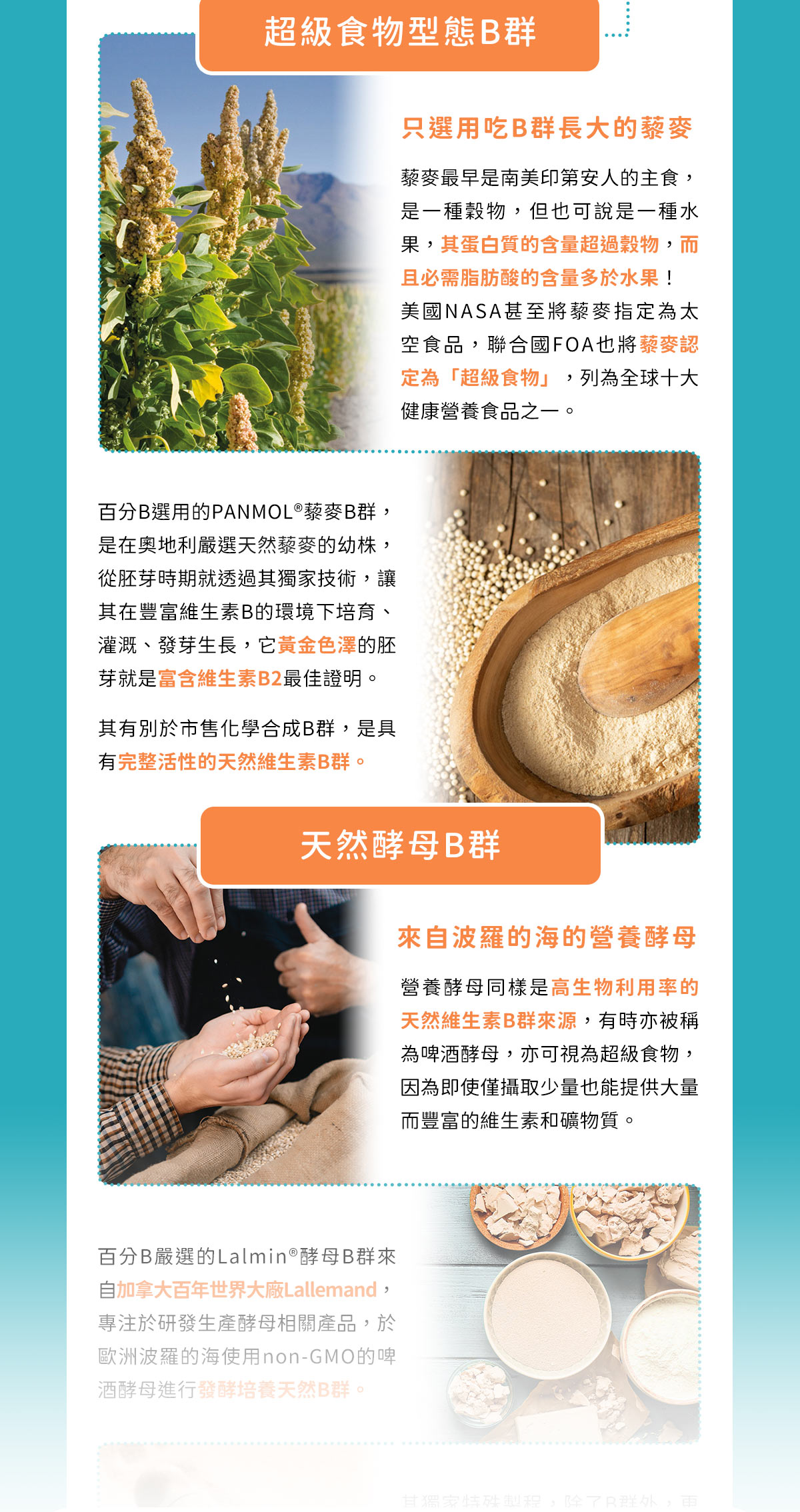 ｜顧免疫旅行專用組 (天然B10粒x1 天然C10粒×1 免疫靈芝10粒×1)｜出國旅遊，居家警戒