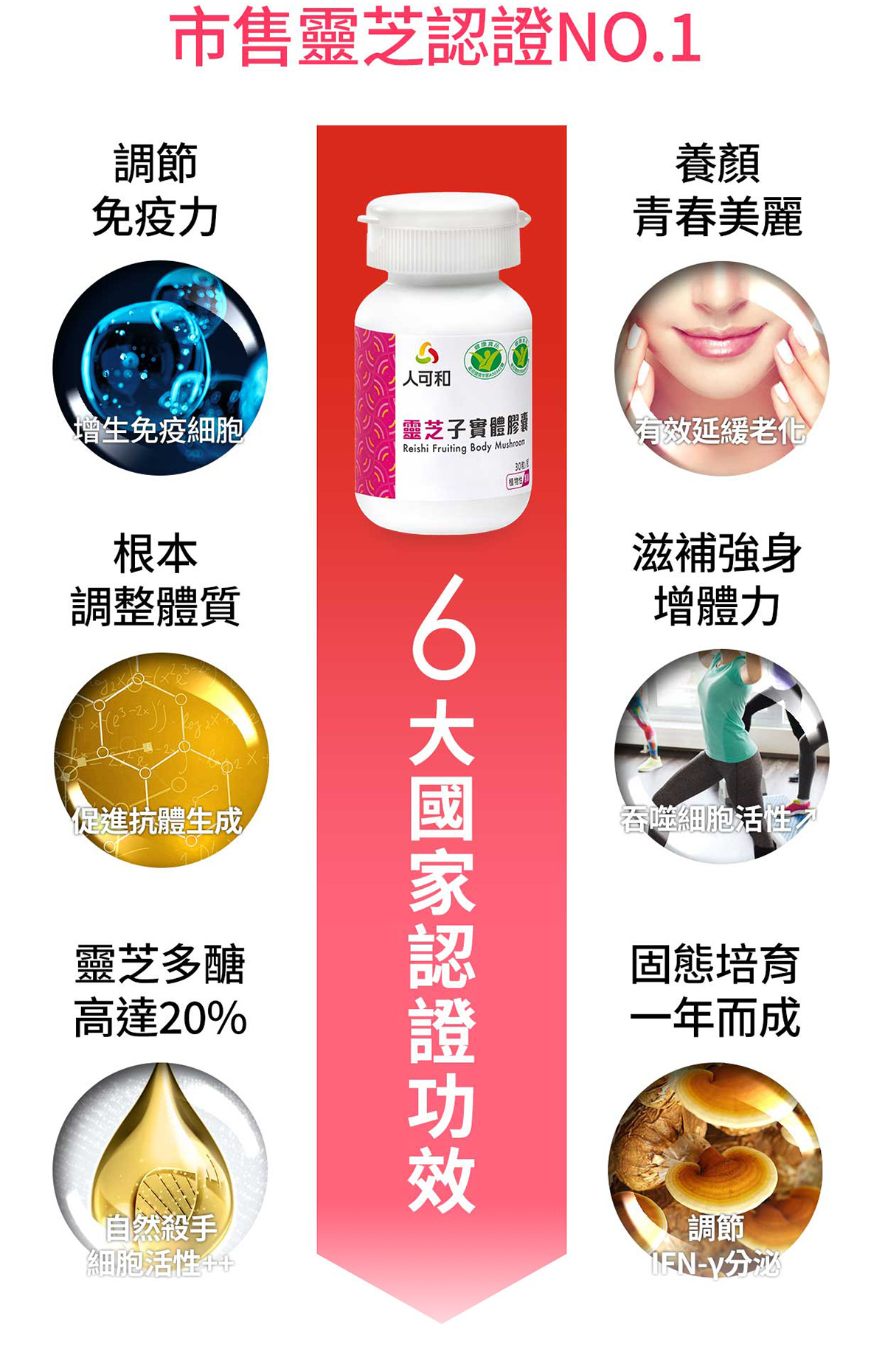 ｜顧免疫旅行專用組 (天然B10粒x1 天然C10粒×1 免疫靈芝10粒×1)｜出國旅遊，居家警戒