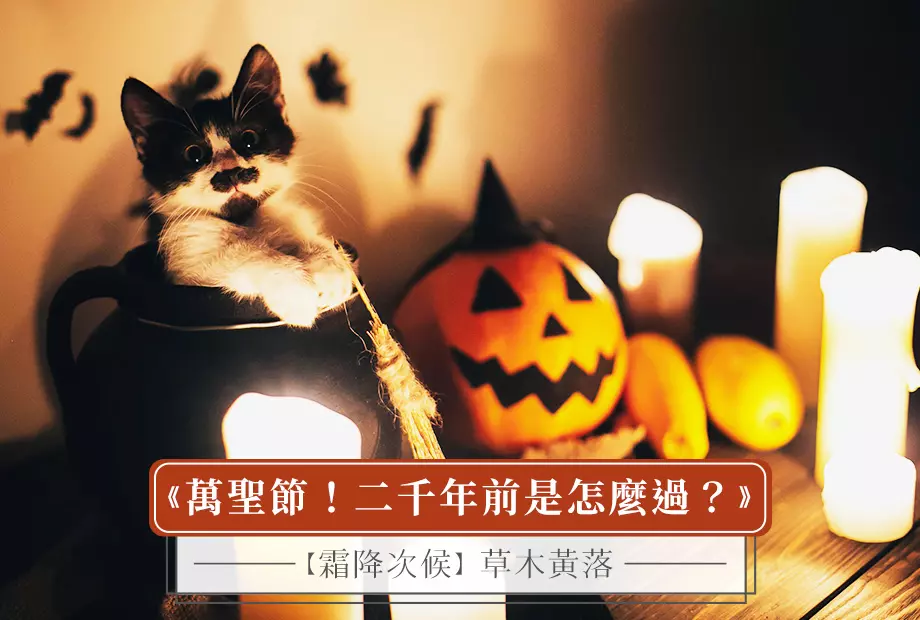 【霜降次候】草木黃落