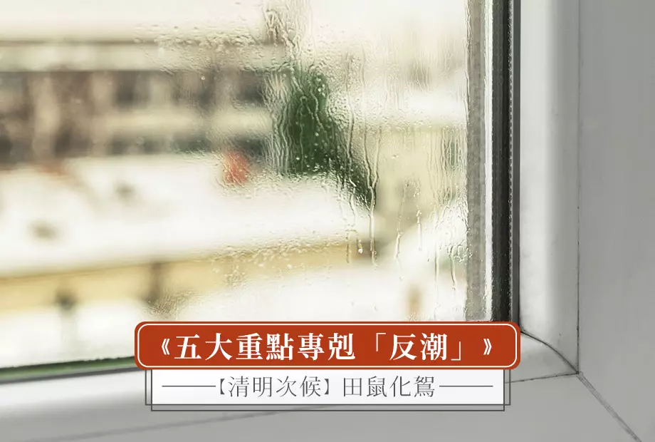 【清明次候】田鼠化鴽