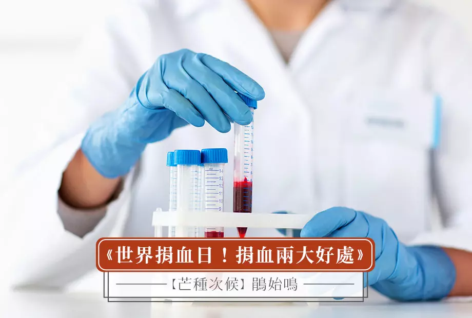 【芒種次候】鵑始鳴