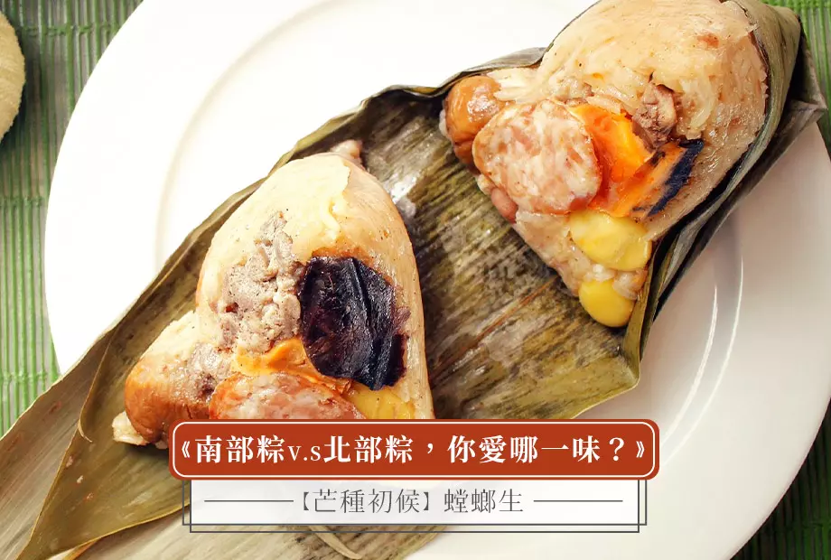 【芒種初候】螳螂生