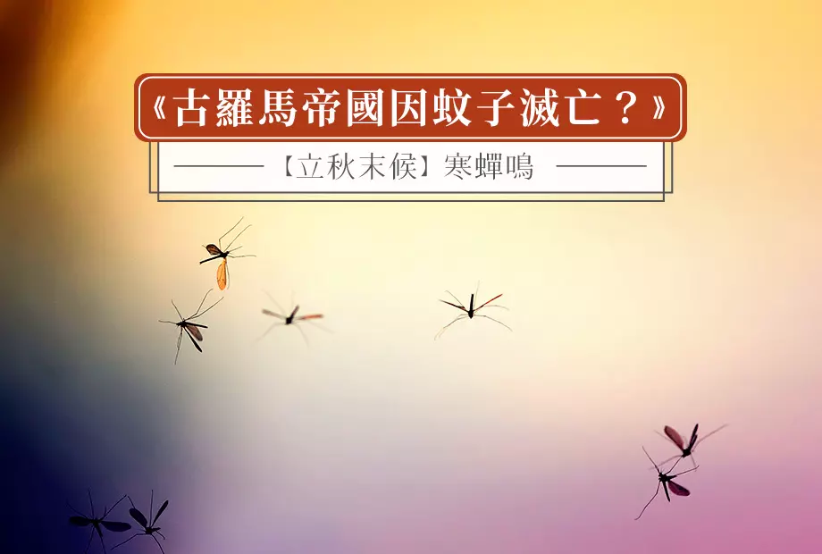 【立秋末候】寒蟬鳴