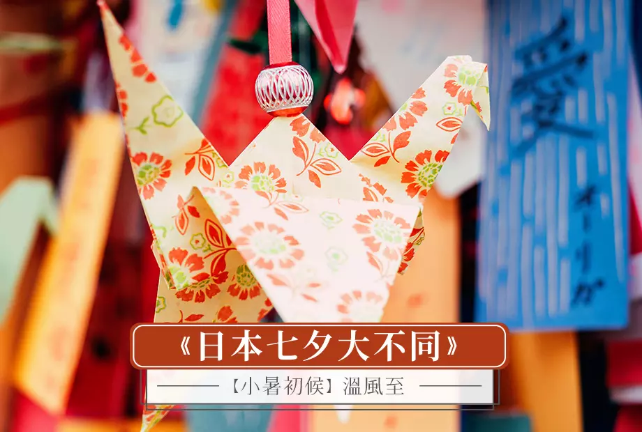 【小暑初候】溫風至
