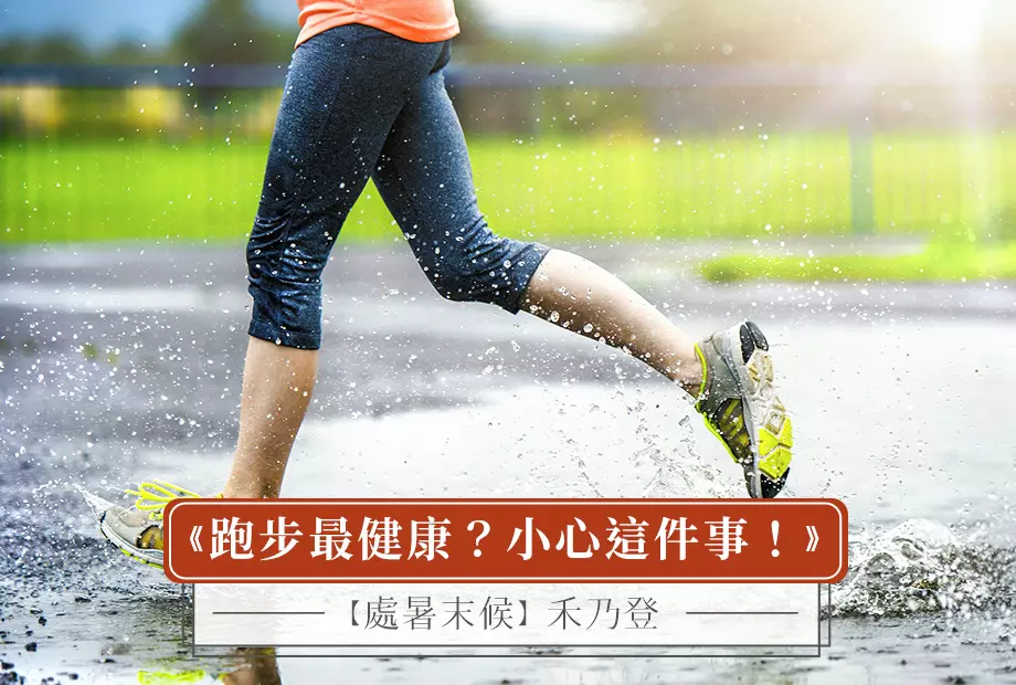 【處暑末候】禾乃登