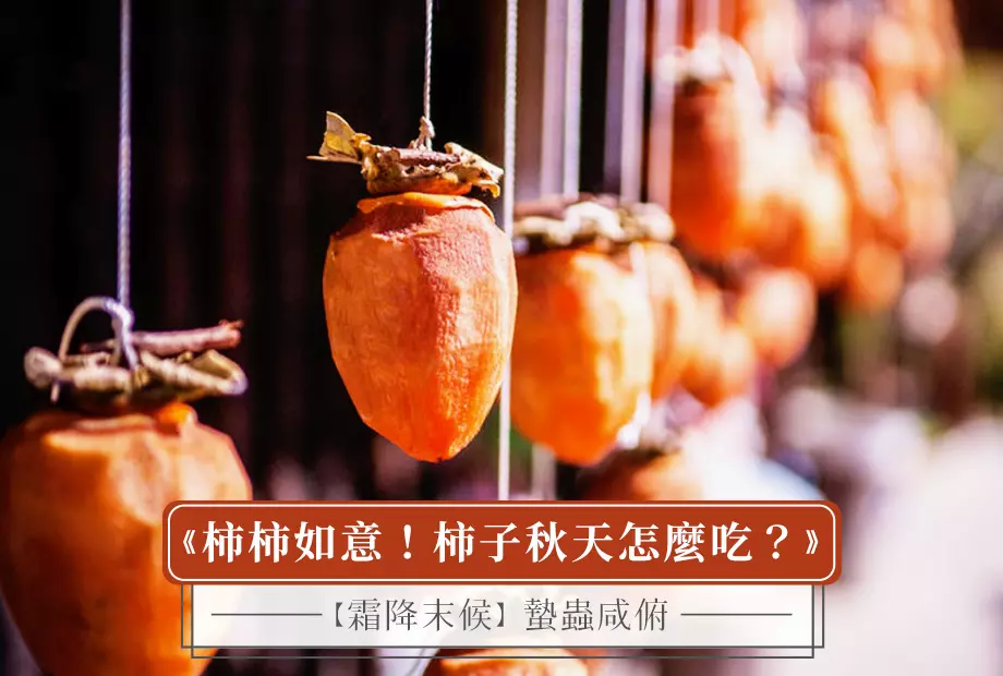 【霜降末候】蟄蟲咸俯