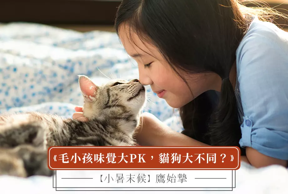 【小暑末候】鷹始摯