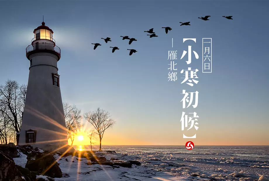 1/6【小寒】 初候|雁北鄉