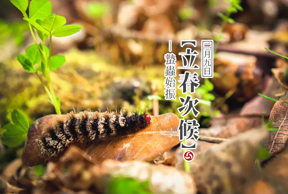 2/9【立春】次候《蟄蟲始振》