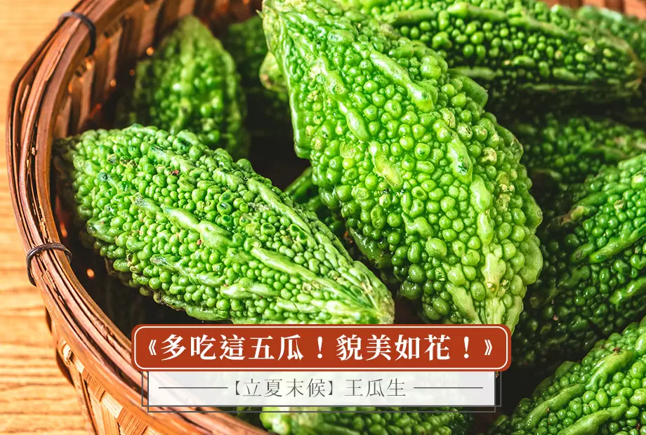 【立夏末候】王瓜生