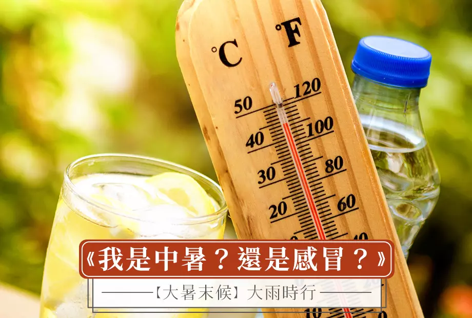 【大暑末候】大雨時行