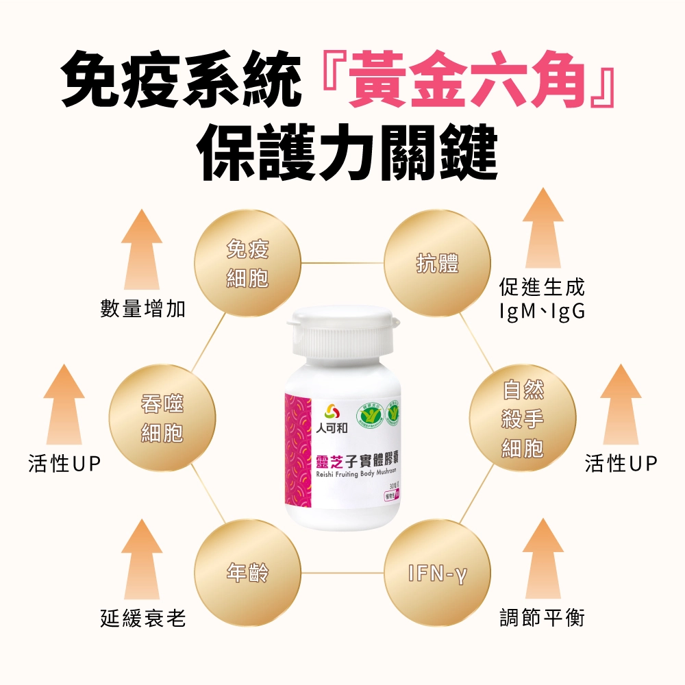 衛福部認證六大功效靈芝，素食可食