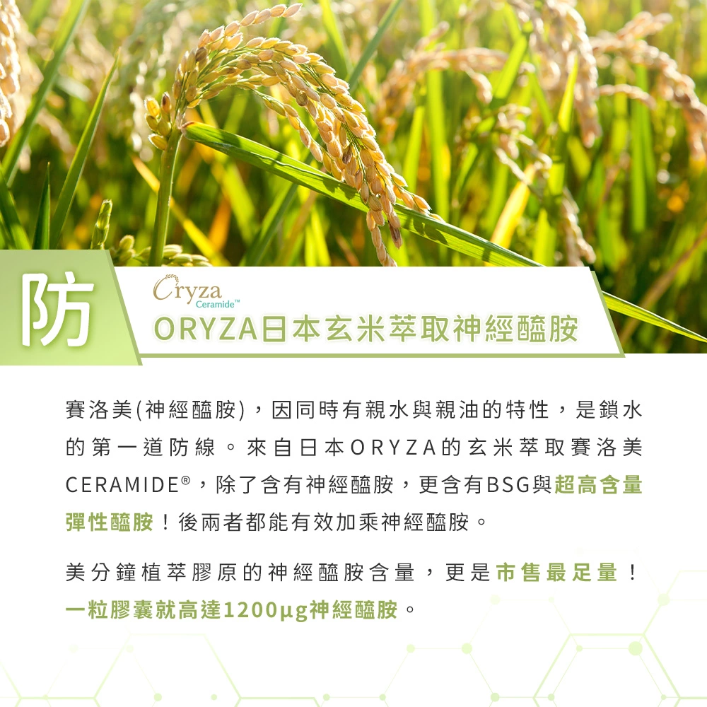 加上足量韓國玻尿酸(透明質酸鈉)+日本賽洛美(神經醯胺)+美國天然維他命C。